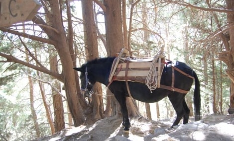 kreta samaria spalis 6