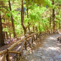 Samarija, graikija, kreta