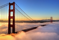 sf