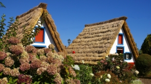 santana madeira nameliai