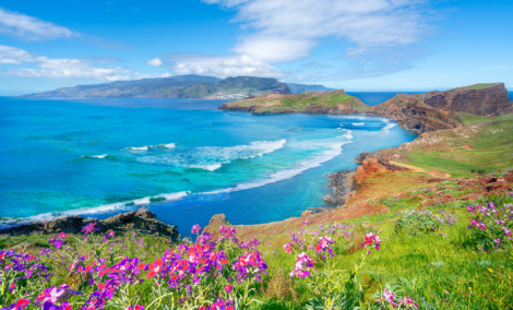 madeira Sao Laurenco