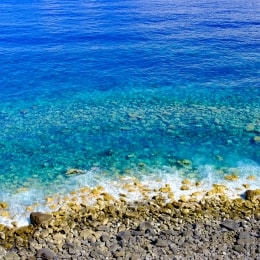 madeira vanduo