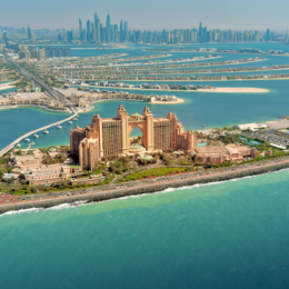 dubajaus palme