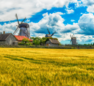 saremos sala vejo malunai