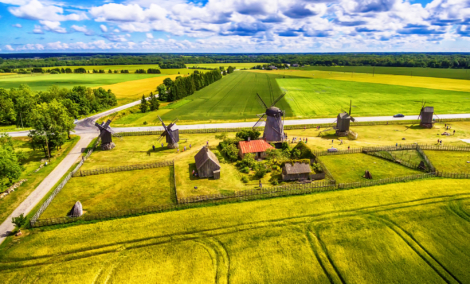 saremos sala vejo malunai2