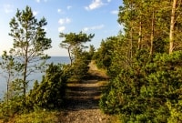 takas saaremaa 6889