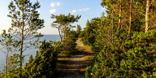 takas saaremaa 6889
