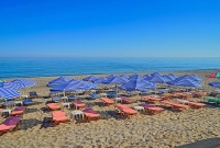 Seafront papludimys
