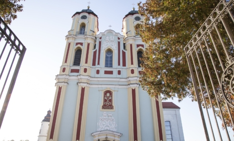 seiniai katedra