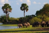 drambliai seluse