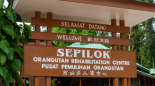 Sepilok Orangutan Rehabilitation Centre sign