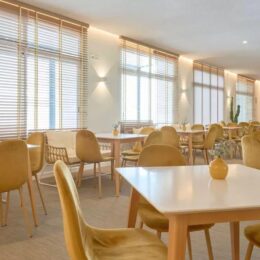 sercotel maya alicante5