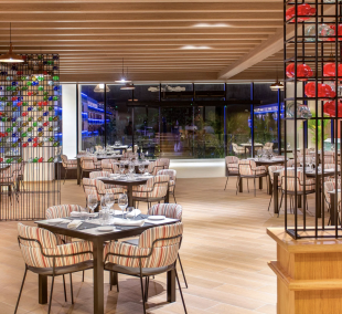 Serenade Punta Cana Beach & Spa Resort baras