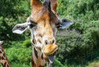 iStock 857574636