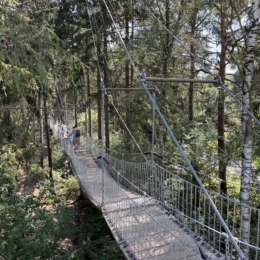 IMG 0585
