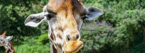 iStock 857574636