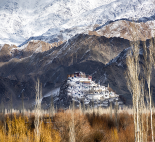 Thiksey Gompa