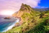madeira siaure