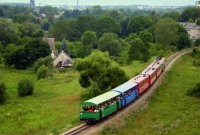 siaurukas