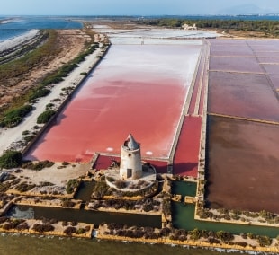 marsala druskos laukai