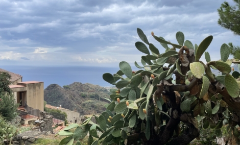Savoca3