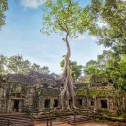 Ta Prohm