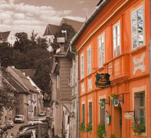 Sighisoara Casa Wagner hotel