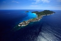 similan salynas 11999