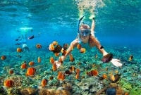 tailandas snorkeling 12001