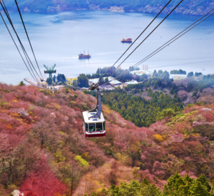 komatage lynų takas