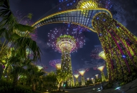 singapore garden