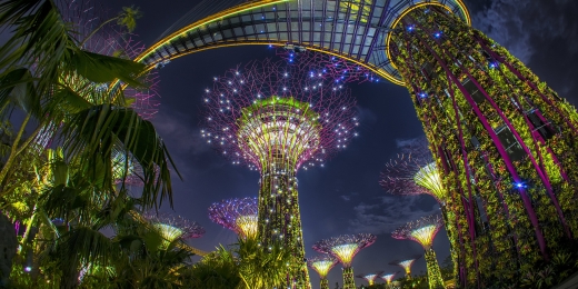 singapore garden