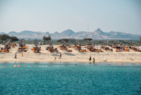 sir bani yas papludimys