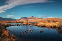 Pasiūlymo galerija 2