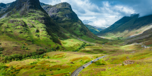 glencoe slenis