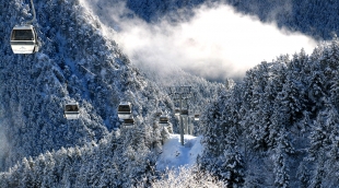 andora