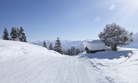 ski sveicarija 16274