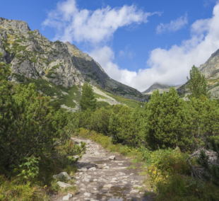 Footpath trail from Strbske Pleso 2