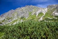 iStock 487913748