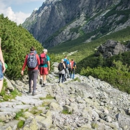 zygiavimas slovakijoje