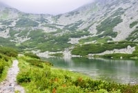 image00006
