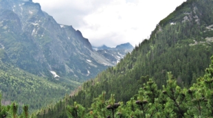 Slovakija 2009 014 5822