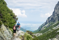 slovakijos zygis. ejimas 2104