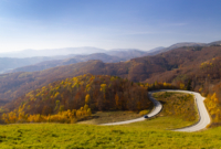 Pasiūlymo galerija 2