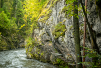 Pasiūlymo galerija 1