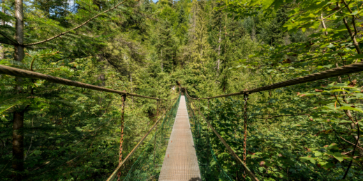 The Slovak Paradise National Park