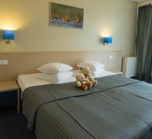 Spa Hotel Rüütli kambarys