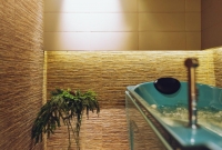 poilsis anyksciuose spa vilnius vonios 6616