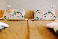 poilsis druskininkuose spa vilnius dvivietis lova 6723