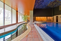 SPA Vilnius Druskininkai baseinas 2841